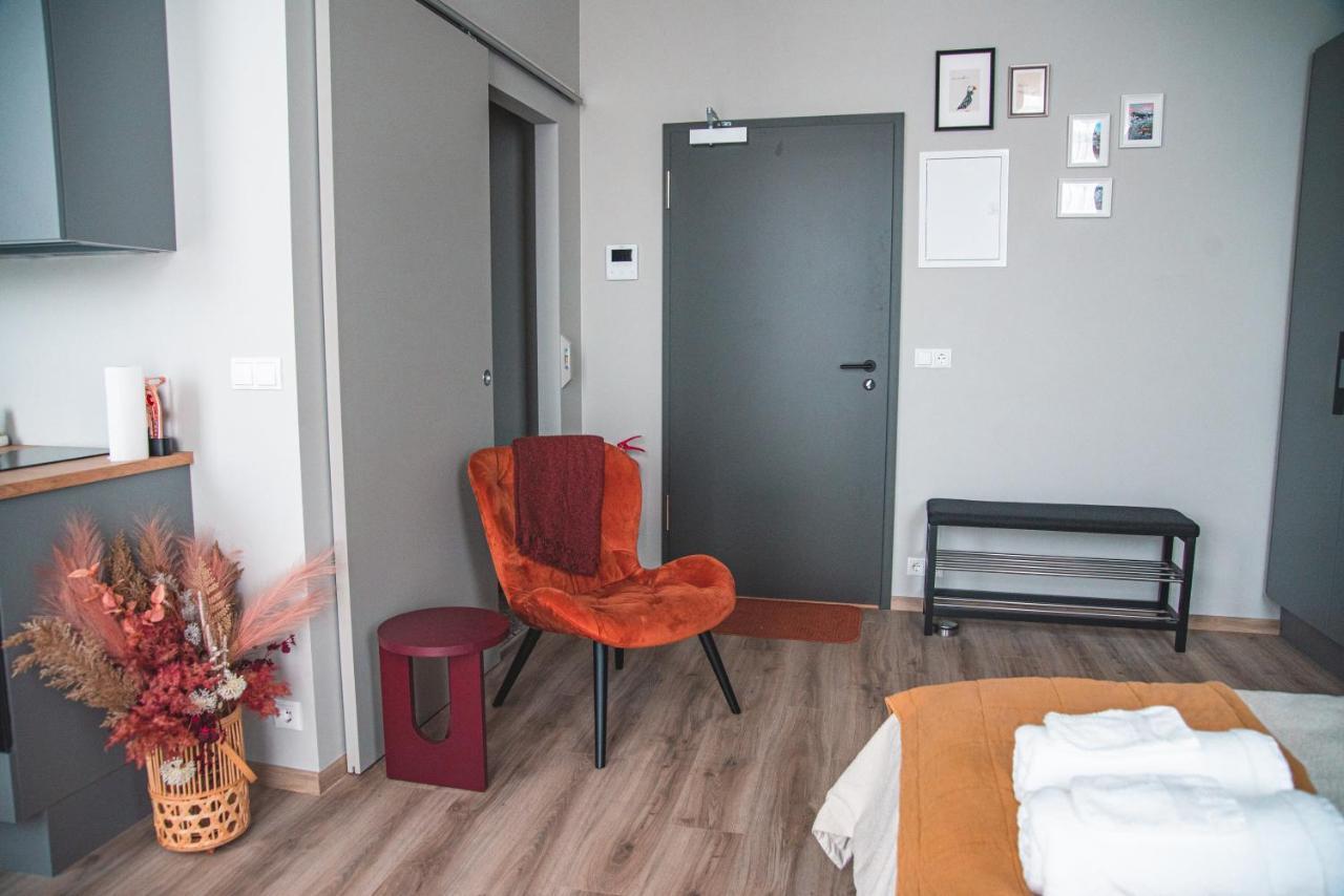 Cozy Studio By The City Centre Leilighet Reykjavík Eksteriør bilde