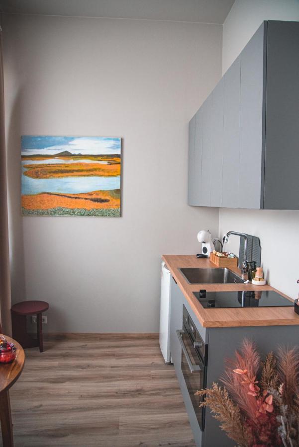Cozy Studio By The City Centre Leilighet Reykjavík Eksteriør bilde